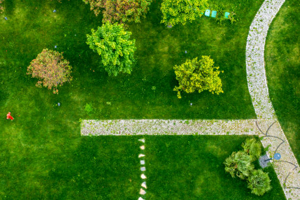 istock Aerial drone view of backyard garden 1410164239
