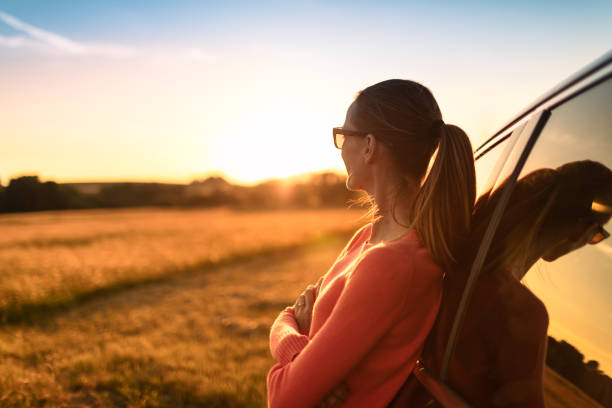 Thoughtful female traveler relaxing next to car looking out at the beautiful golden sunset view. stock photo