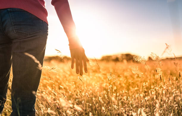 istock Female walking on open field at sunset softly brushing her hand over tall grass. 1410170867
