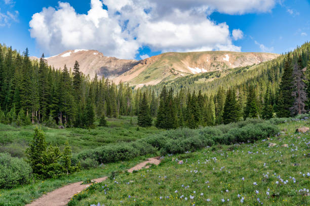 istock Colorado mountain nature landscape 1410175562
