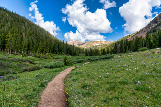istock Colorado mountain nature landscape 1410175595