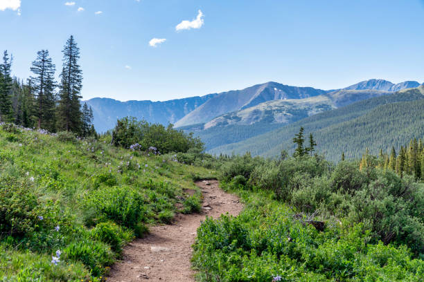istock Colorado mountain nature landscape 1410175596