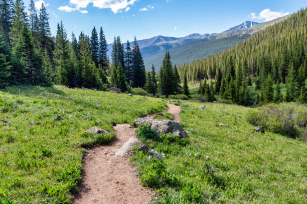 istock Colorado mountain nature landscape 1410176158