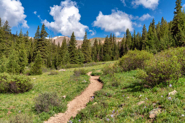 istock Colorado mountain nature landscape 1410176159