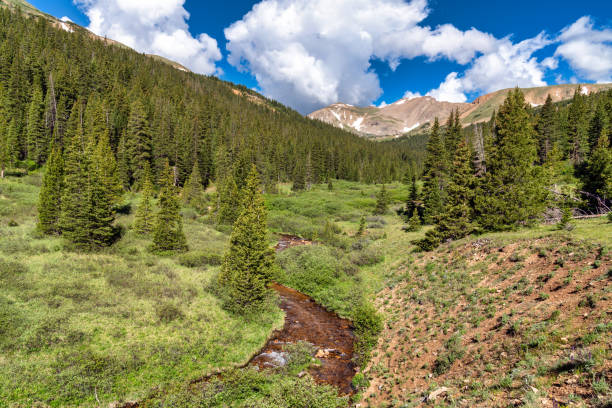 istock Colorado mountain nature landscape 1410176389