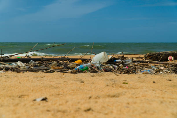 istock Polluted beach after a storm. Negombo, Sri Lanka. 1410187518