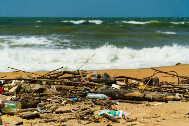istock Polluted beach after a storm. Negombo, Sri Lanka. 1410187632