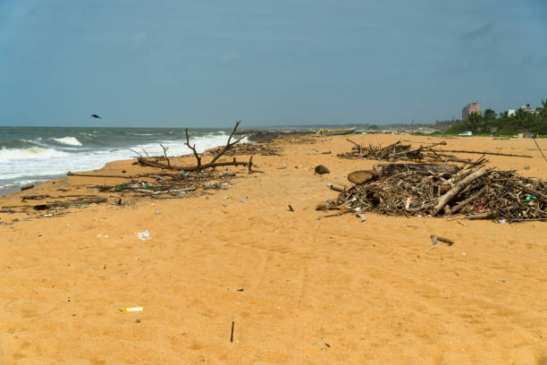 istock Polluted beach after a storm. Negombo, Sri Lanka. 1410187634