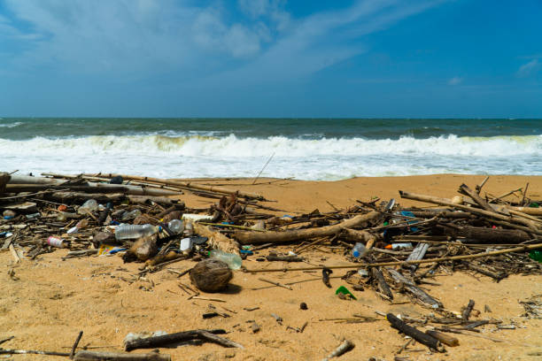 istock Polluted beach after a storm. Negombo, Sri Lanka. 1410188228