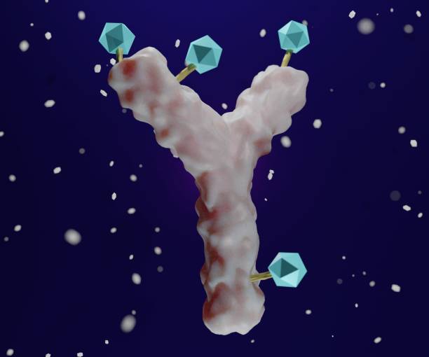 istock Antibody drug conjugated with cytotoxic payload. 1410189313