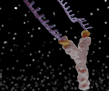 Molecular slingshot with antibody. nanodrug encapsulated is targeting specific region 3d rendering