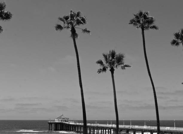 istock Southern California Coast in black and white 1410192243