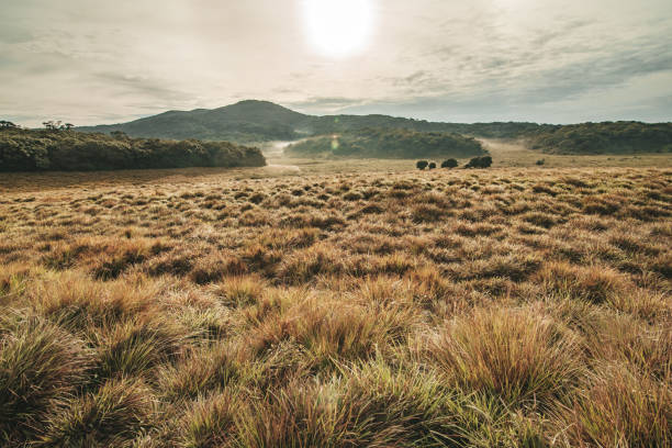 istock Sri Lanka Nature Reserve 1410199500