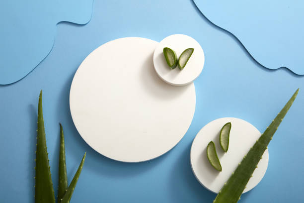 istock White podium decorated with aloe vera and blue background , with blank space for product advertising , nature abstract content 1410203078