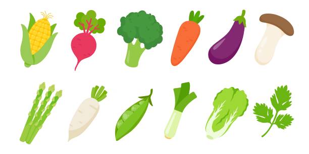 부엌에서 요리를위한 모듬 된 다채로운 야채 소화기 - dieting juice carrot tomato stock illustrations