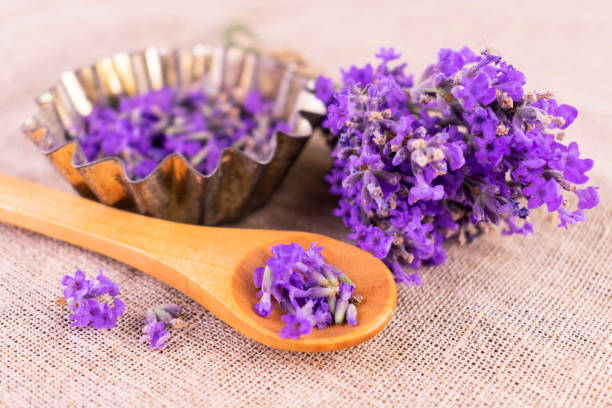 istock Fragrant lavender flowers. Lavender harvest.Ingredient for making cosmetics. 1410204441