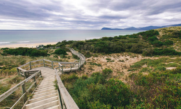 istock Wooden Staircase Through Sand Dunes 1410207294