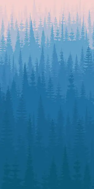 Vector illustration of Coniferous forest in the morning haze, vertical