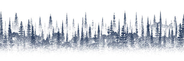 ilustrações de stock, clip art, desenhos animados e ícones de vector sketch, forest, imitation of a pencil drawing - pencil drawing