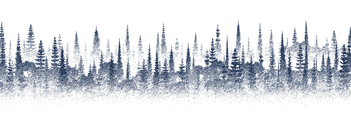 Vector sketch, forest, imitation of a pencil drawing
