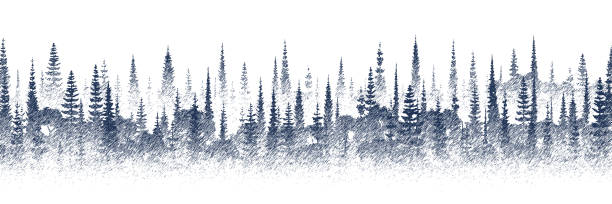 Vector sketch, forest, imitation of a pencil drawing Vector sketch, banner, forest, imitation of a pencil drawing pencil drawing stock illustrations