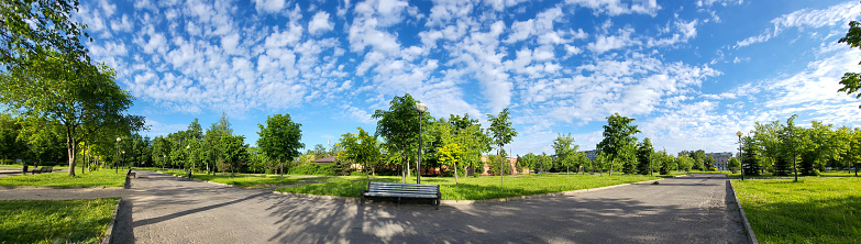 Beautiful green city park with blue sky. A path and a beautiful path with trees for running, walking and cycling relax in the park on a green grass field.