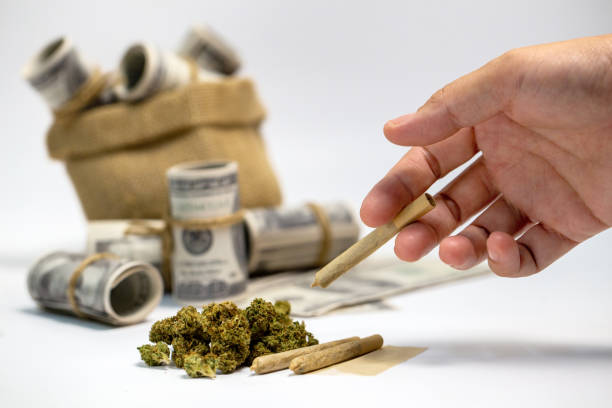 Dried marijuana and a large bag of dollar bills. Hand picked up a dried marijuana roll. stock photo