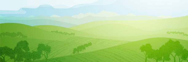 illustrations, cliparts, dessins animés et icônes de vue panoramique sur les collines verdoyantes le matin ensoleillé - national grassland