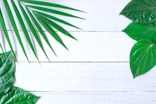 istock Tropical green leaves on white wood background with copy space. 1410217674