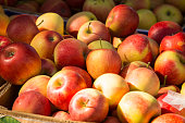 Seasonal fruits at the agricultural market, apples