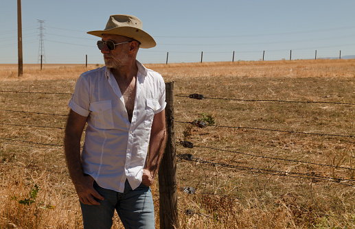 horizontal image of  cowboy wearing jeans and cowboy hat stands and leans against  fence in green grass and watches as his horses graze in pasture under  beautiful blue sky with clouds in summer time