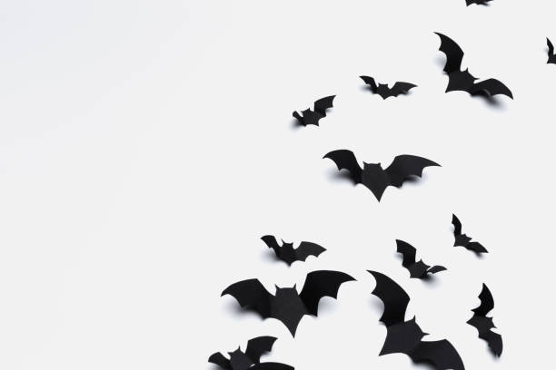 1,100+ Origami Bat Stock Photos, Pictures & Royalty-Free Images - iStock
