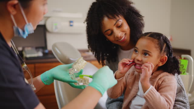 Dentist teaching and child learning a brushing teeth routine with a toothbrush to maintain oral and dental hygiene. Orthodontist showing adorable little girl and mother a jaw model during a consult
