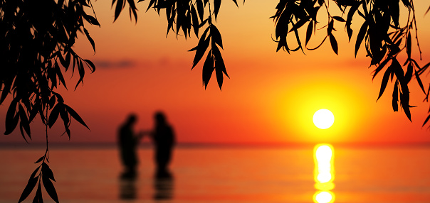Blurred silhouette of young couple in love, standing in the sea at sunset. Silhouette of tree branches in the foreground. Panoramic view.