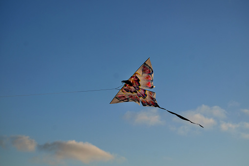 traditional eagle kite flying on blue sky at beach