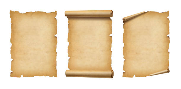 Old Parchment paper scroll set isolated on white. Vertical banners stock photo