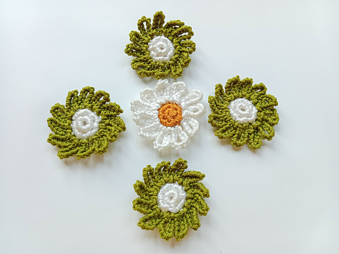 Crochet of daisy flower isolated on white background. Knitted flower