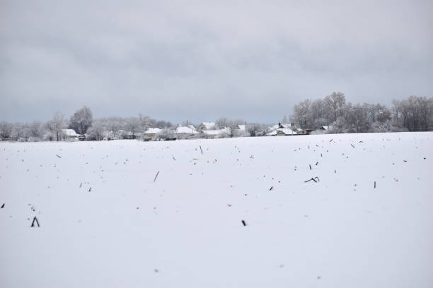 surface plane du champ recouverte de neige. - horizon over water horizontal surface level viewpoint photos et images de collection