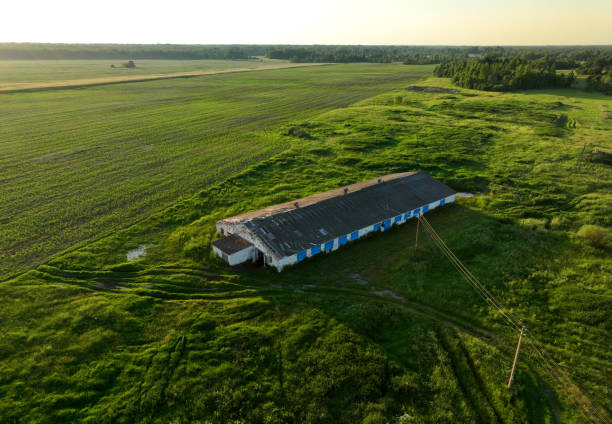 istock Old farm building with a destroyed cowshed. 1410244332