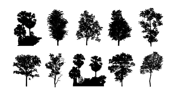 Trees silhouette for brush on white background