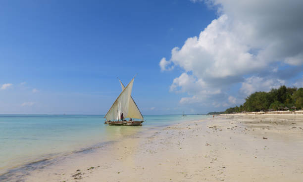 istock two dhow canoes on island beach 1410252527