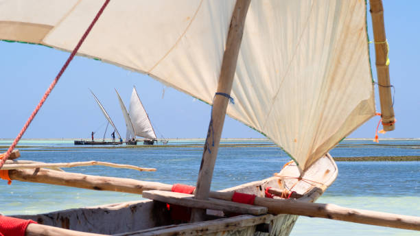 istock fishing outrigger dhows moored along a shallow beach 1410252545