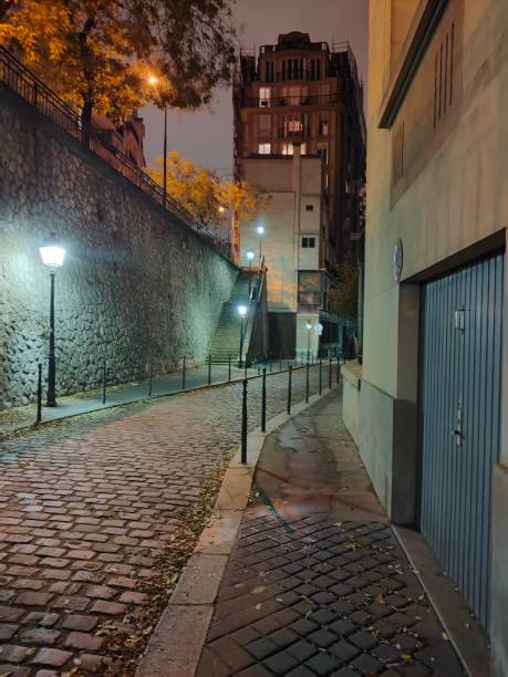 istock Paris street in the night 1410256020