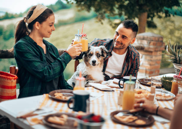 istock friend at home doing an afternoon picnic 1410256668