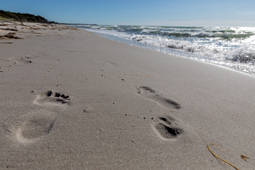 footprints in the wet sand