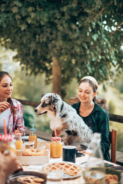 istock friend at home doing an afternoon picnic 1410257296