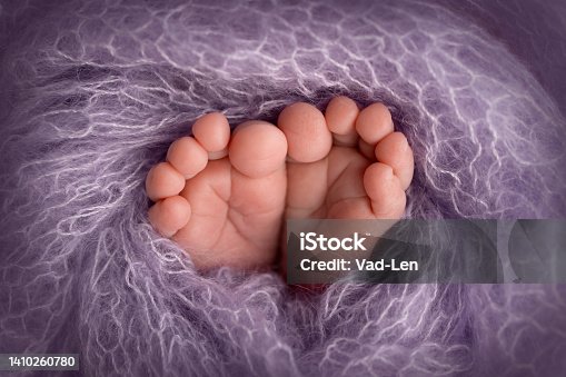 istock The tiny foot of a newborn baby. Soft feet of a new born in a purple, lilac wool blanket. Close up of toes, heels and feet of a newborn. 1410260780