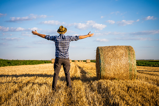 Happy farmer with arms outstretched  standing beside bales of hay after successful harvesting.