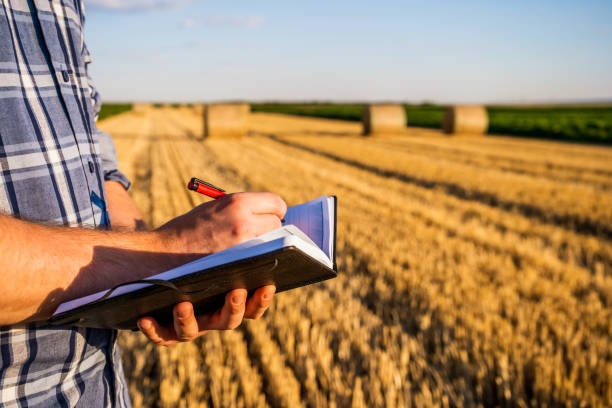 Farmer writing notes and examining straw after  harvesting