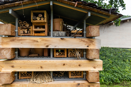 An insect hotel set up in garden